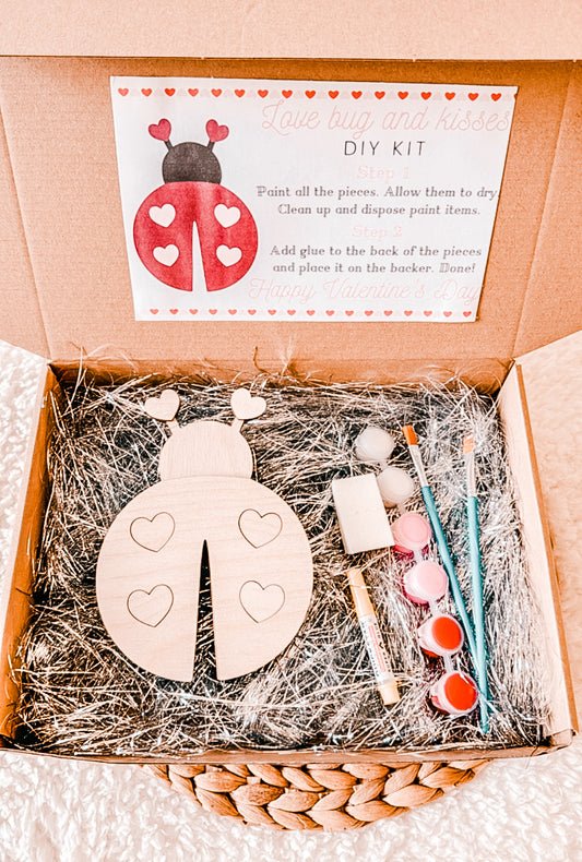 Ladybug paint kit