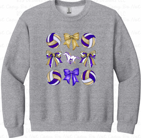 Sully Buttes Charger Volleyball Bows